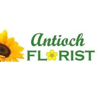 Antioch Florist image 21